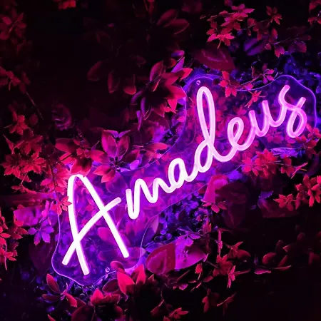 Peniche Amadeus Conviviale Et Cosy , Proche De Et De Paris Torcy (Seine-et-Marne)